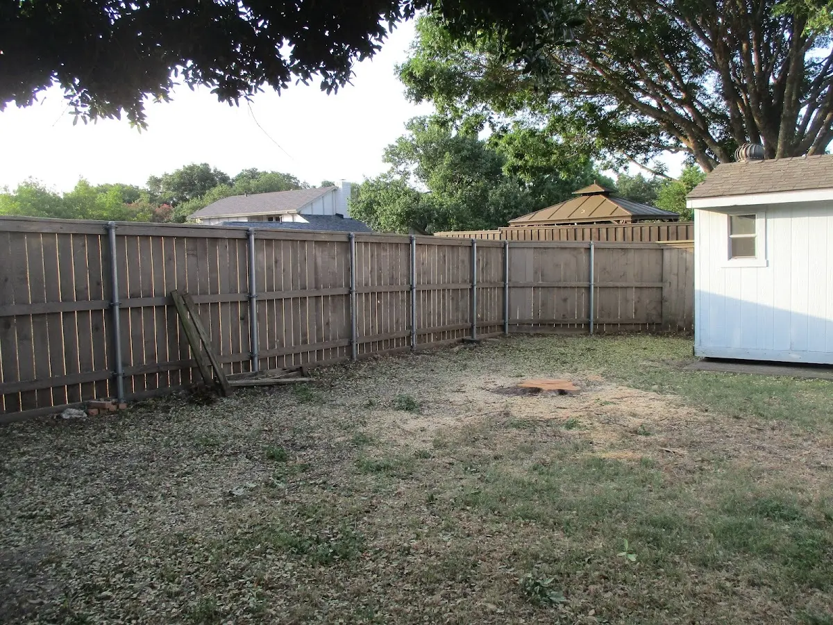 Cleared yard after professional tree removal in Amanda Park